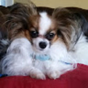 Meet your Posher, Christine